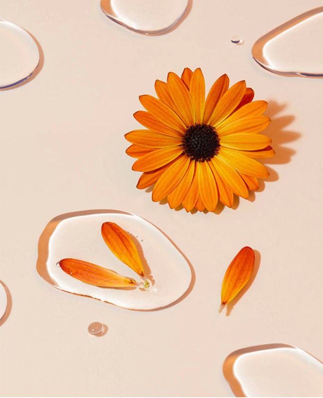 Une photos de fleur de calendula et ses pétales dans du lubrifiant